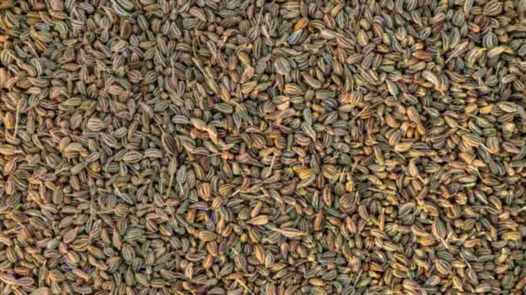 carom-seeds-ajwain