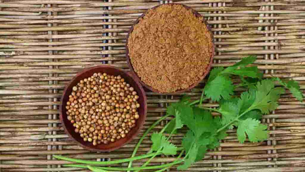 coriander-dhaniya