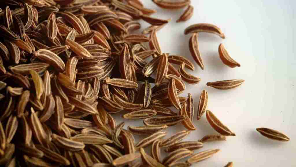 cumin-jeera
