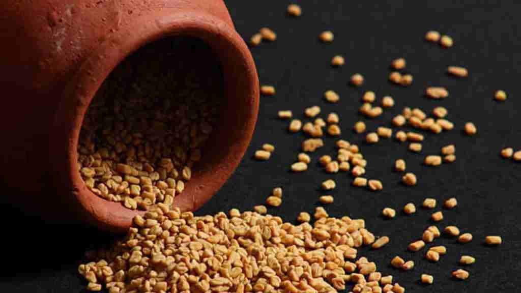 fenugreek-seeds-kasoori-methi