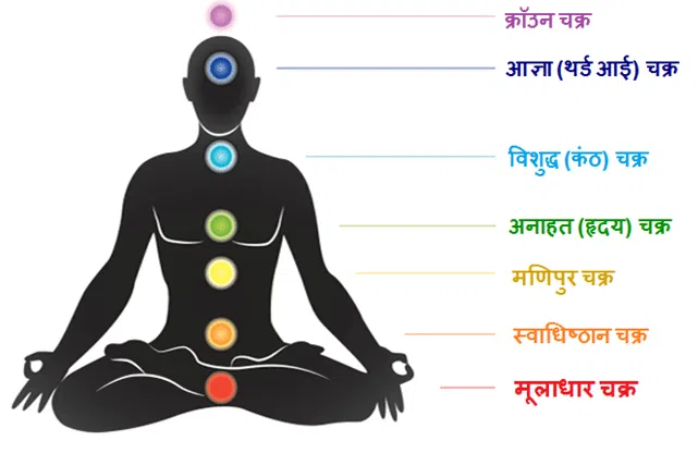 muladhara chakra मूलाधार चक्र