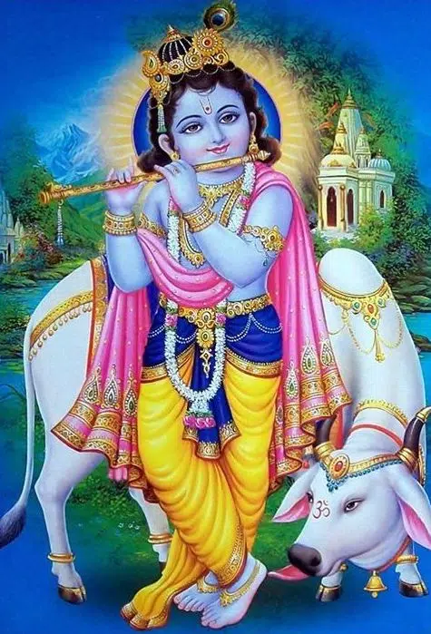 Cute Little Kanha Photos