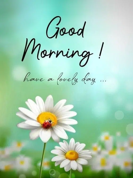 Whatsapp Good Morning Quotes Pic HD