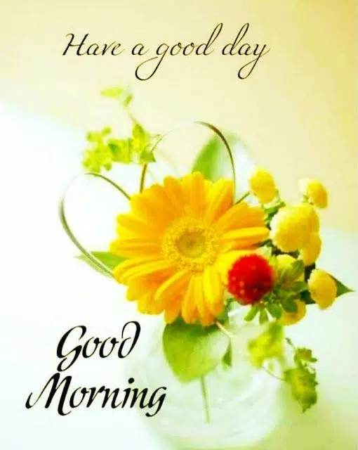 Good Morning Whatsapp Pic Status DP Download