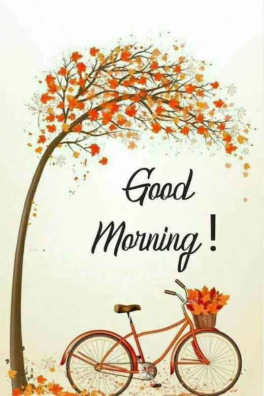 Good Morning Wallpaper HD Free Download for Whatsapp
