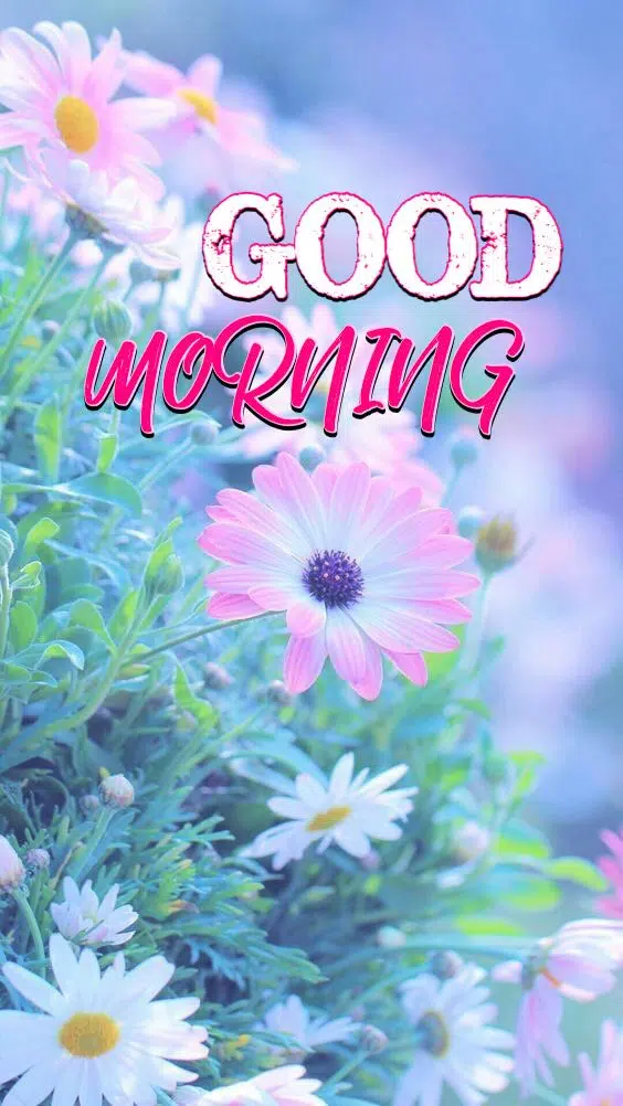 Good Morning Quotes Image Download