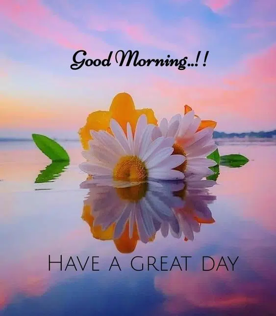 Good Morning for Mobile DP Status Pic