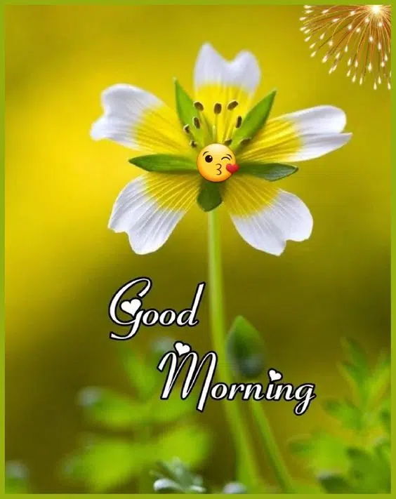Good Morning Funny Greeting Pic HD Download