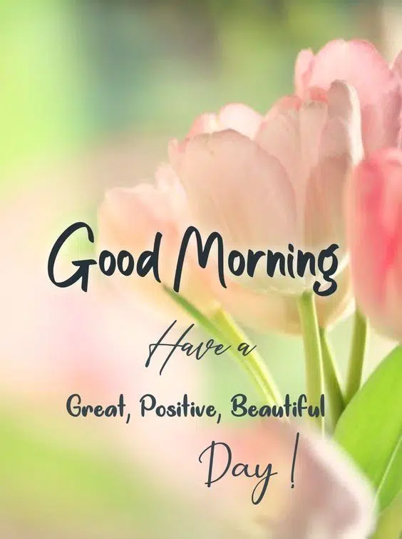 Good Morning Great Morning Pic Wishes