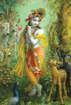 Gopala Govinda Krishna Photos