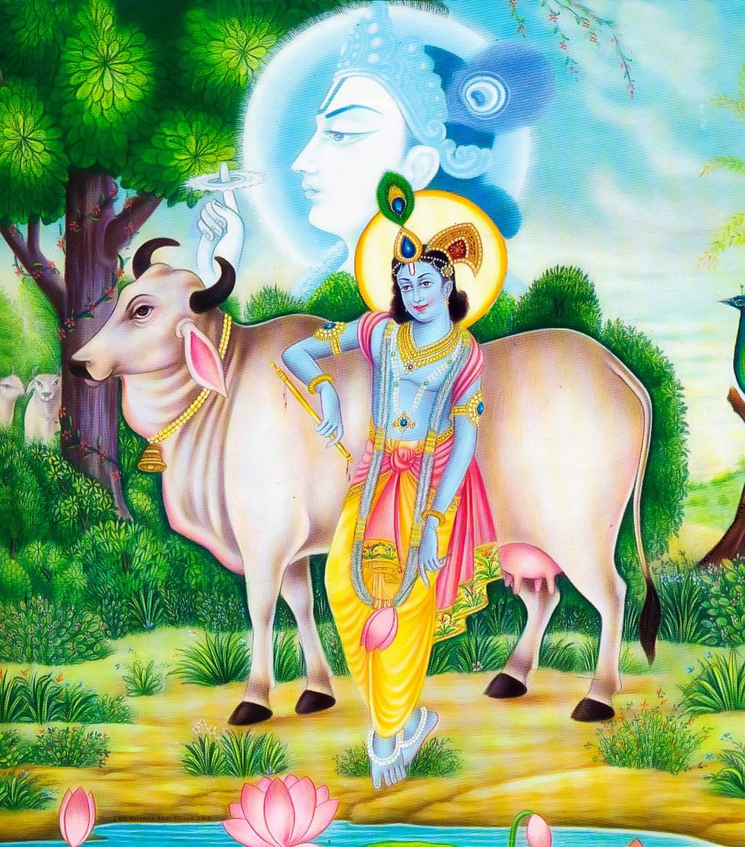 Shree Krishna Cow Image, God Krishna in Gokul Image