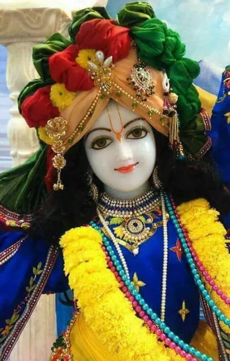 Ladoo Gopal Pics